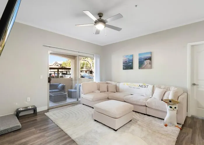 Just A Little Comfort * Scottsdale